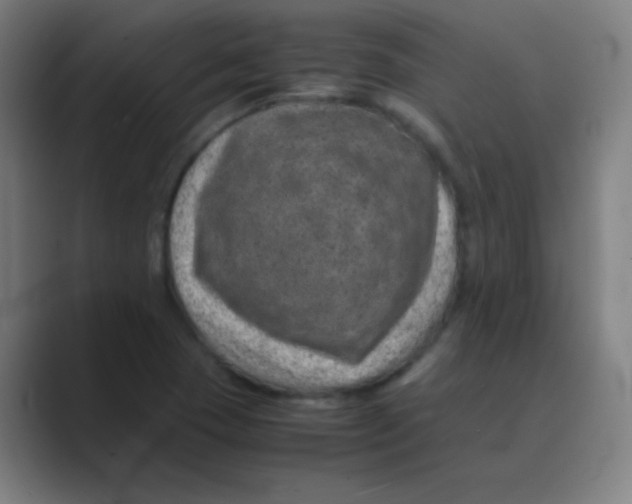 X0000088701409200706282013