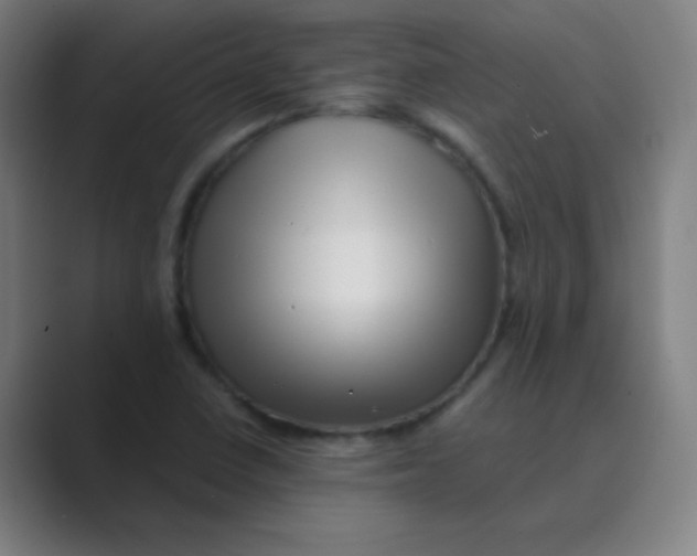 X0000088701410200706282013