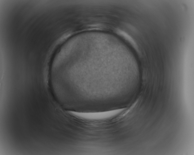 X0000088701411200706282014