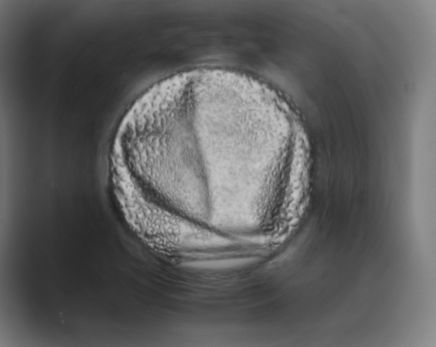 X0000088701413200706282014