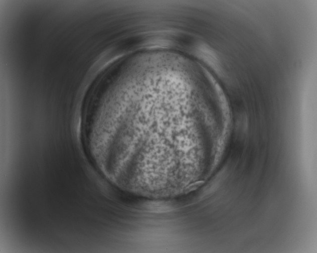 X0000088701418200706282014