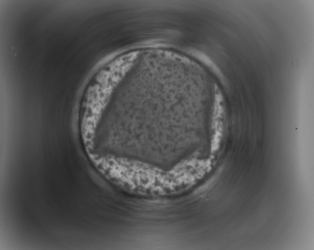 X0000088701421200706282014