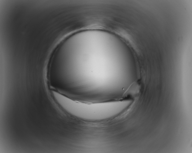 X0000088701422200706282014