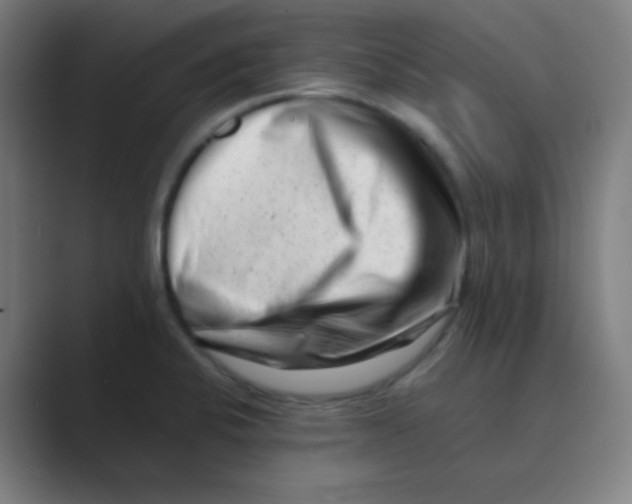 X0000088701424200706282014