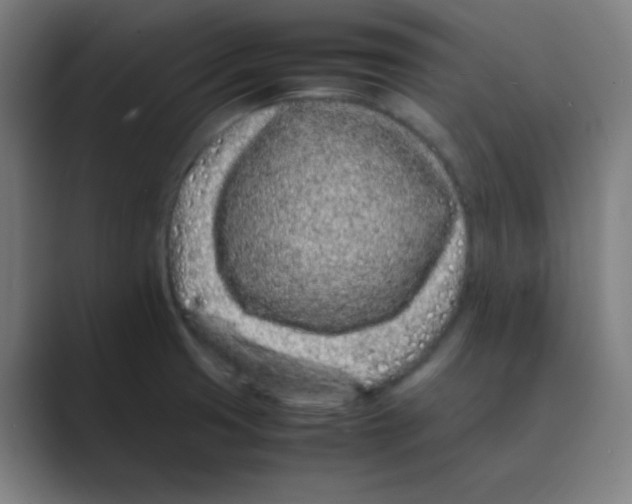 X0000088701425200706282014