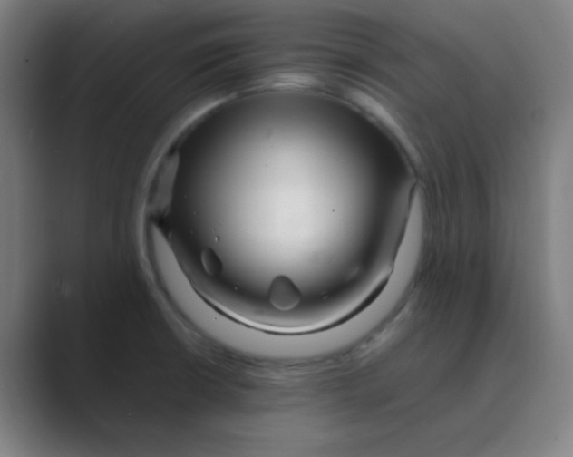 X0000088701426200706282014