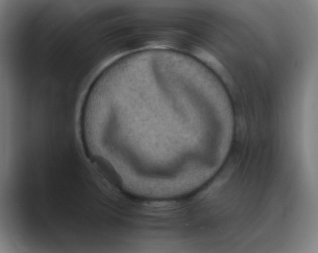 X0000088701427200706282014