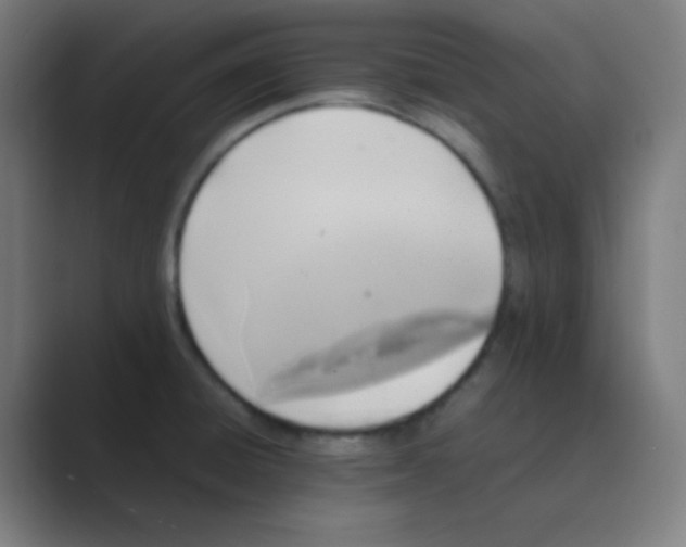 X0000088701428200706282014