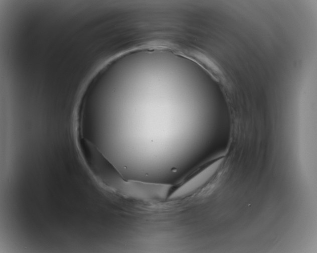 X0000088701430200706282014