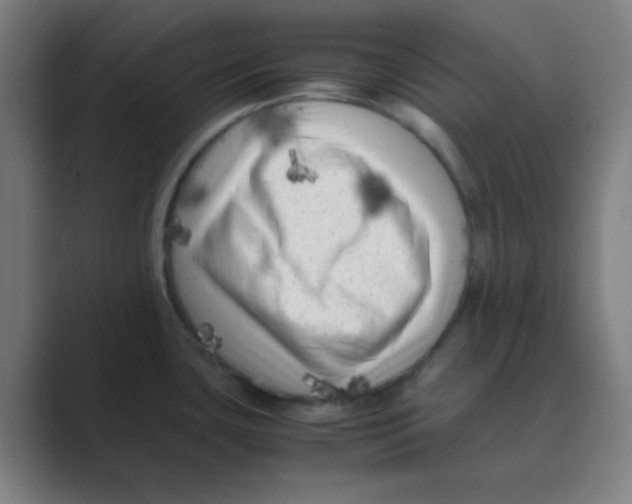 X0000088701435200706282014