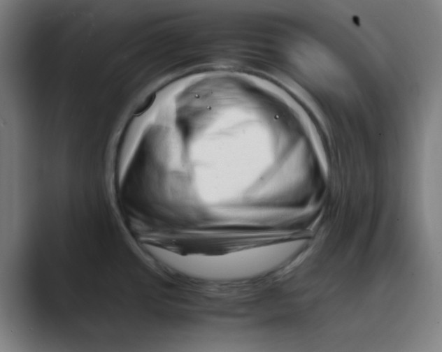 X0000088701437200706282014