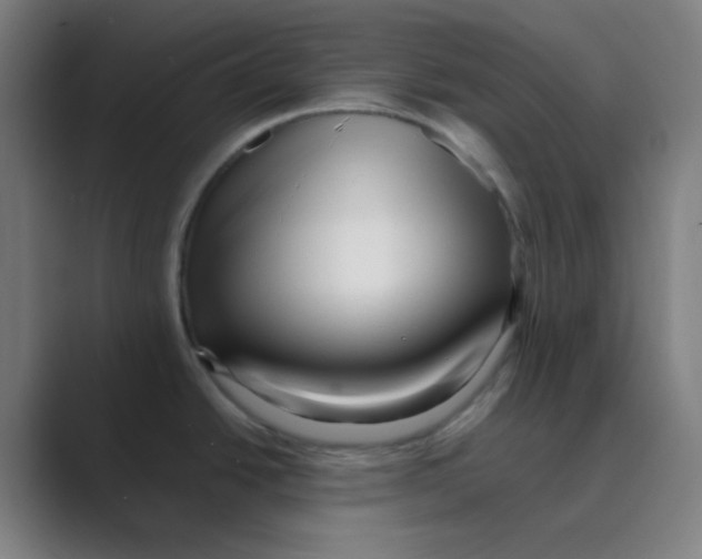 X0000088701438200706282014