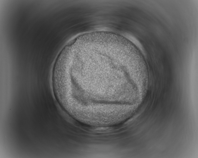 X0000088701439200706282014