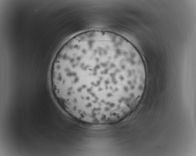 X0000088701440200706282014