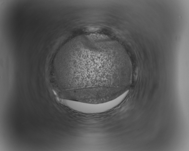 X0000088701441200706282013