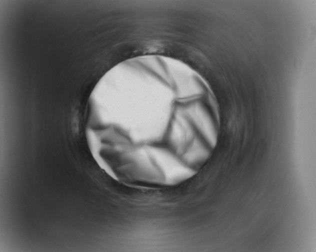 X0000088701442200706282013