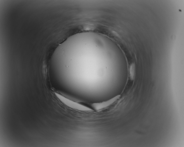 X0000088701443200706282013