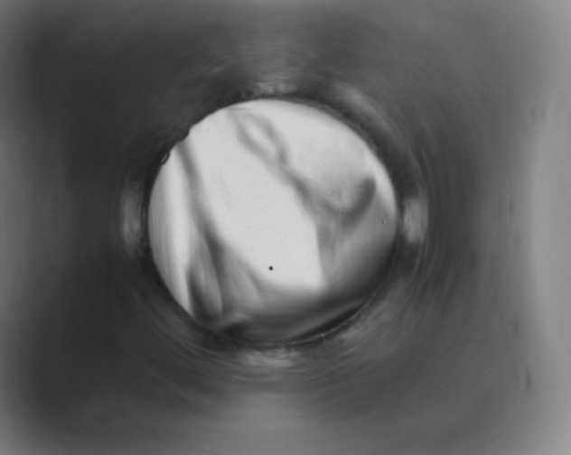 X0000088701444200706282013