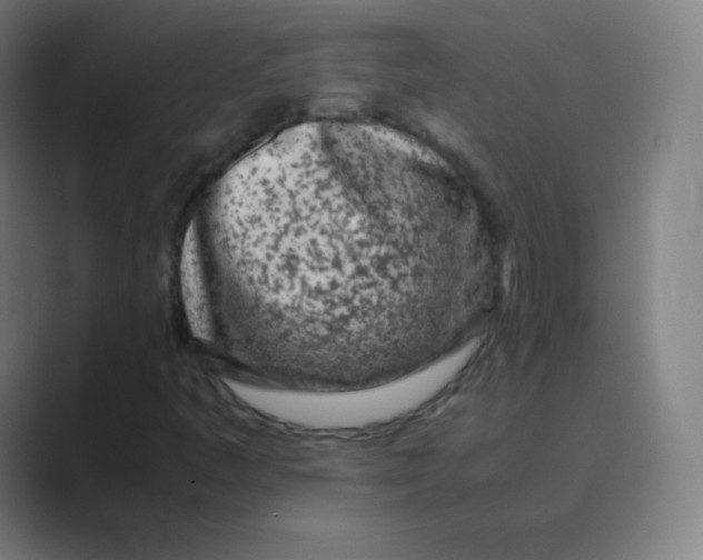 X0000088701445200706282013