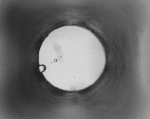 X0000088701447200706282013