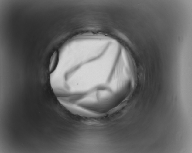 X0000088701448200706282013