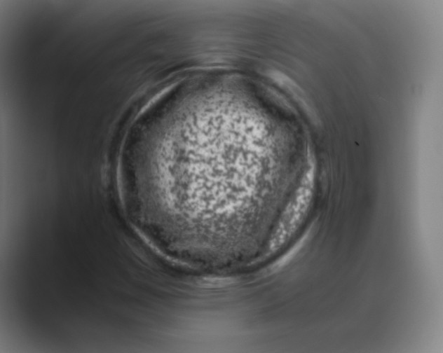 X0000088701449200706282013