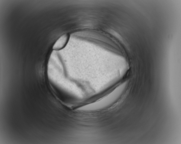 X0000088701450200706282013