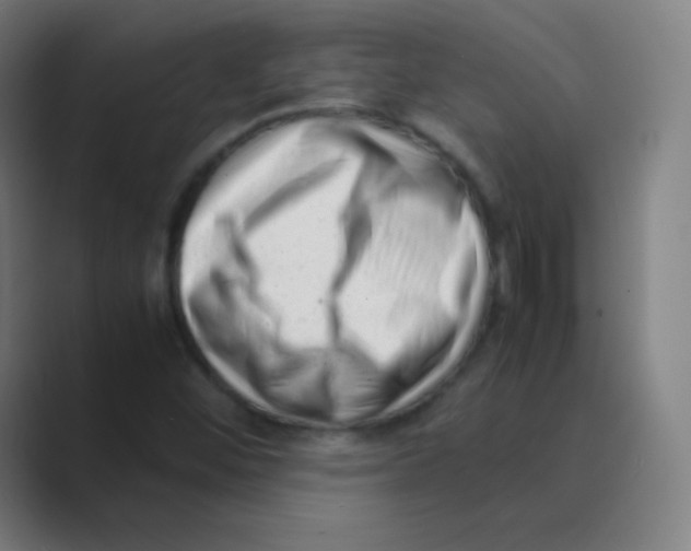 X0000088701452200706282013