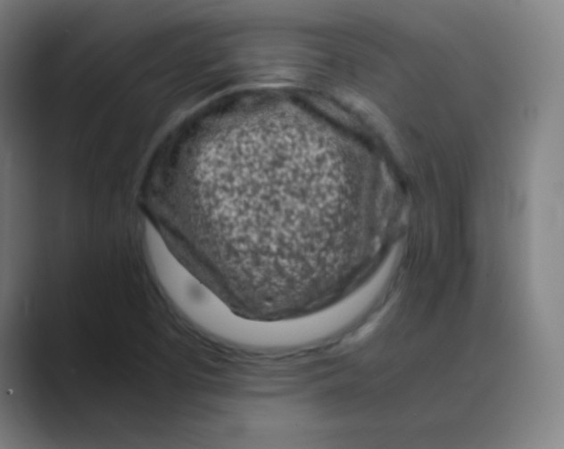 X0000088701457200706282013