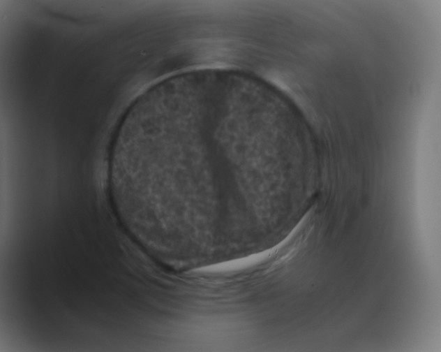 X0000088701459200706282013