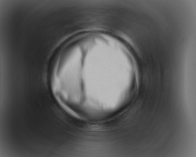 X0000088701460200706282013