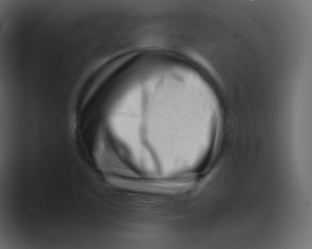 X0000088701461200706282013