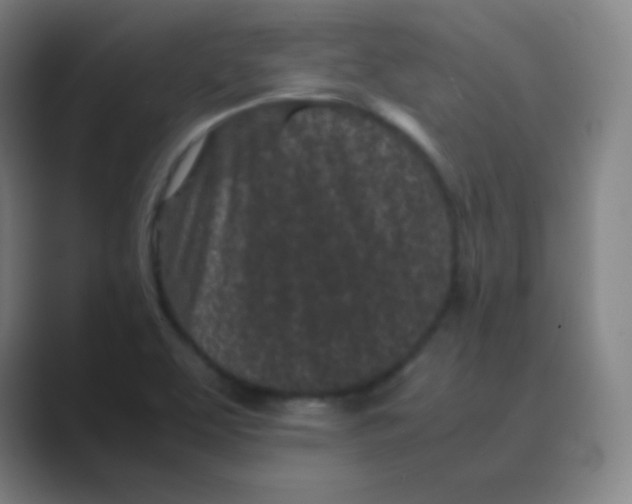 X0000088701463200706282013