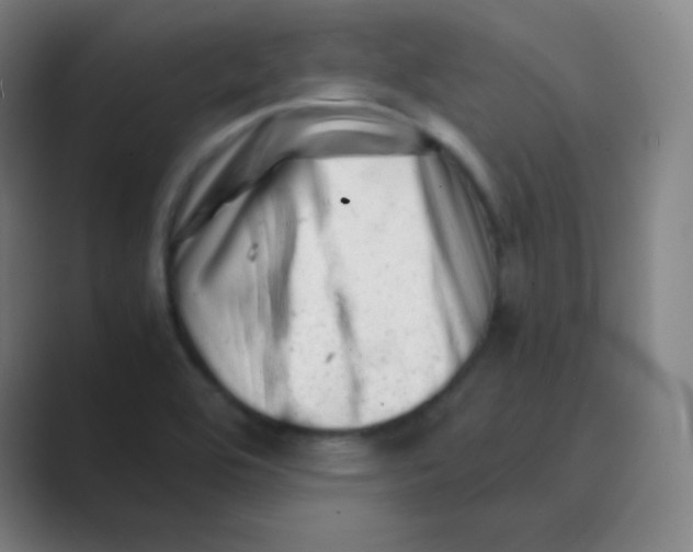 X0000088701464200706282013