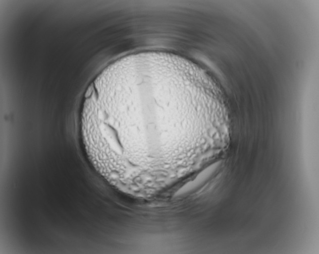 X0000088701467200706282013