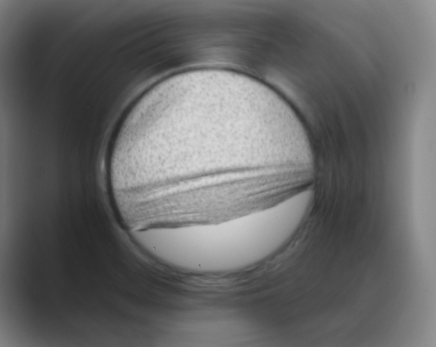 X0000088701468200706282013