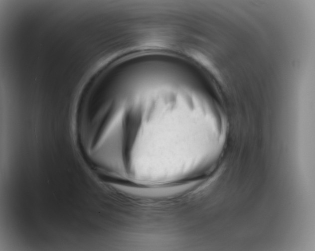 X0000088701469200706282013