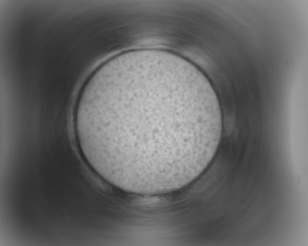 X0000088701470200706282013