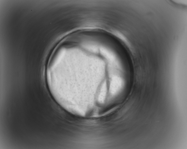 X0000088701472200706282013