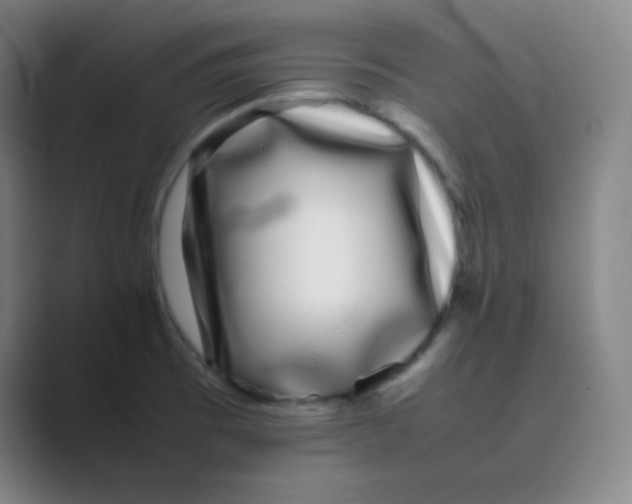 X0000088701473200706282013