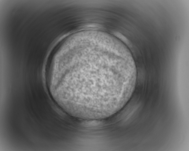 X0000088701474200706282013