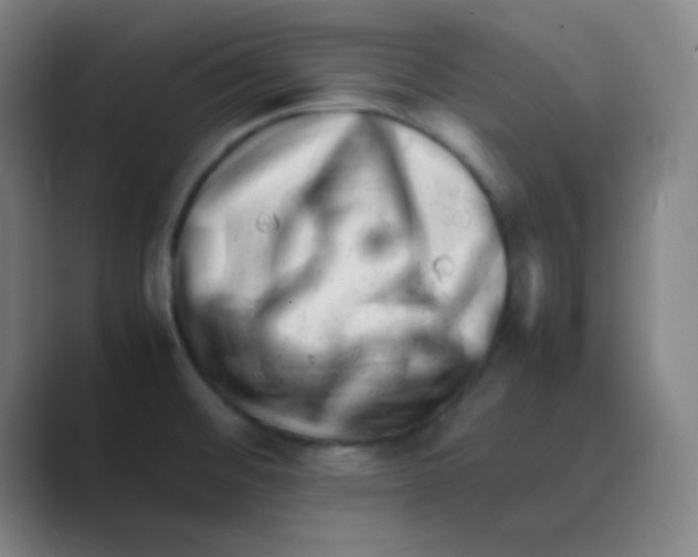 X0000088701476200706282013