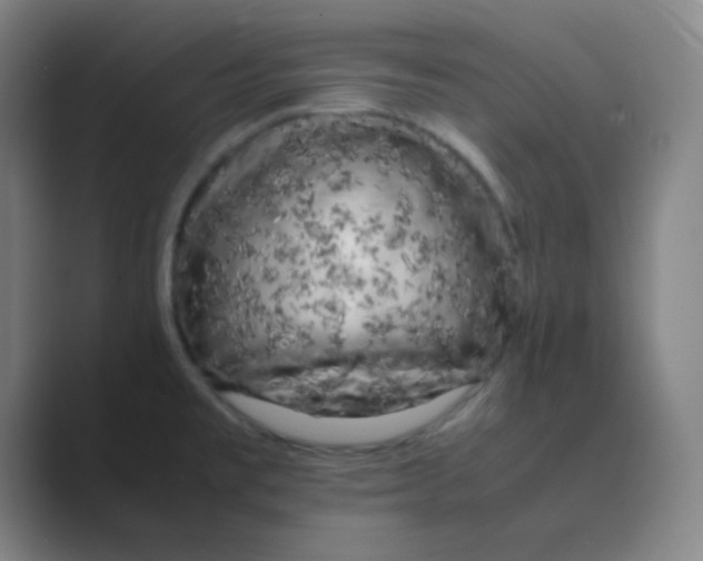 X0000088701477200706282013