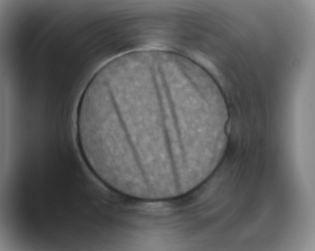 X0000088701479200706282013