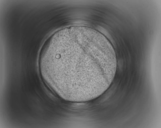 X0000088701482200706282013