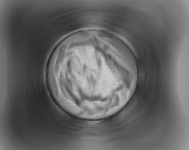 X0000088701484200706282013