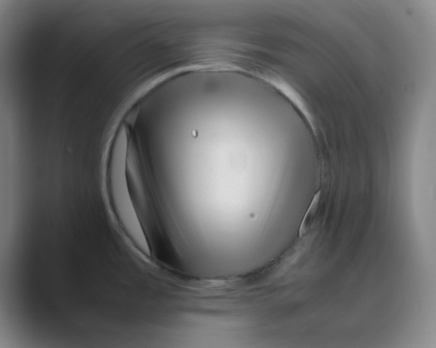 X0000088701485200706282013