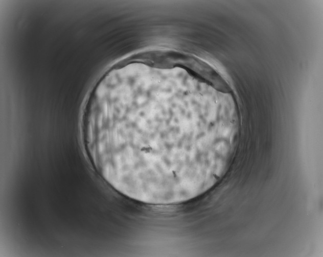 X0000088701488200706282013