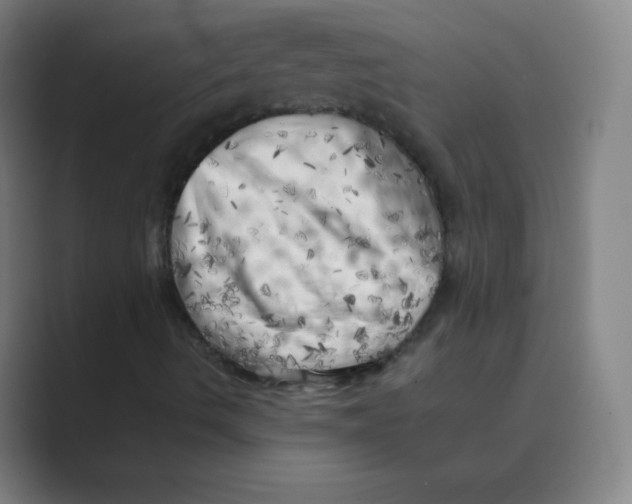 X0000088701490200706282012