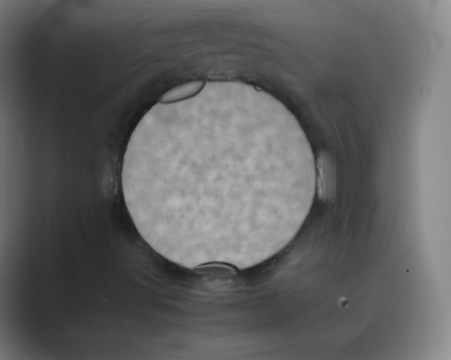 X0000088701491200706282012